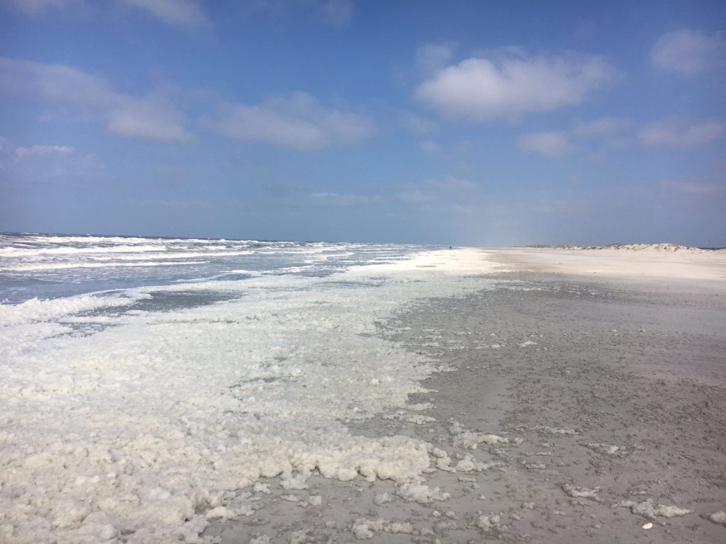 Strand Schiermonnikoog