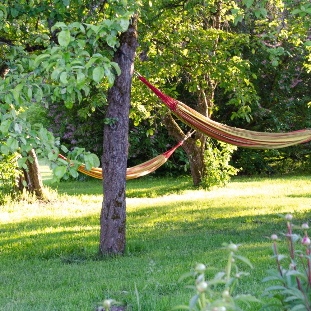 Karlamuiza Gauja National Park