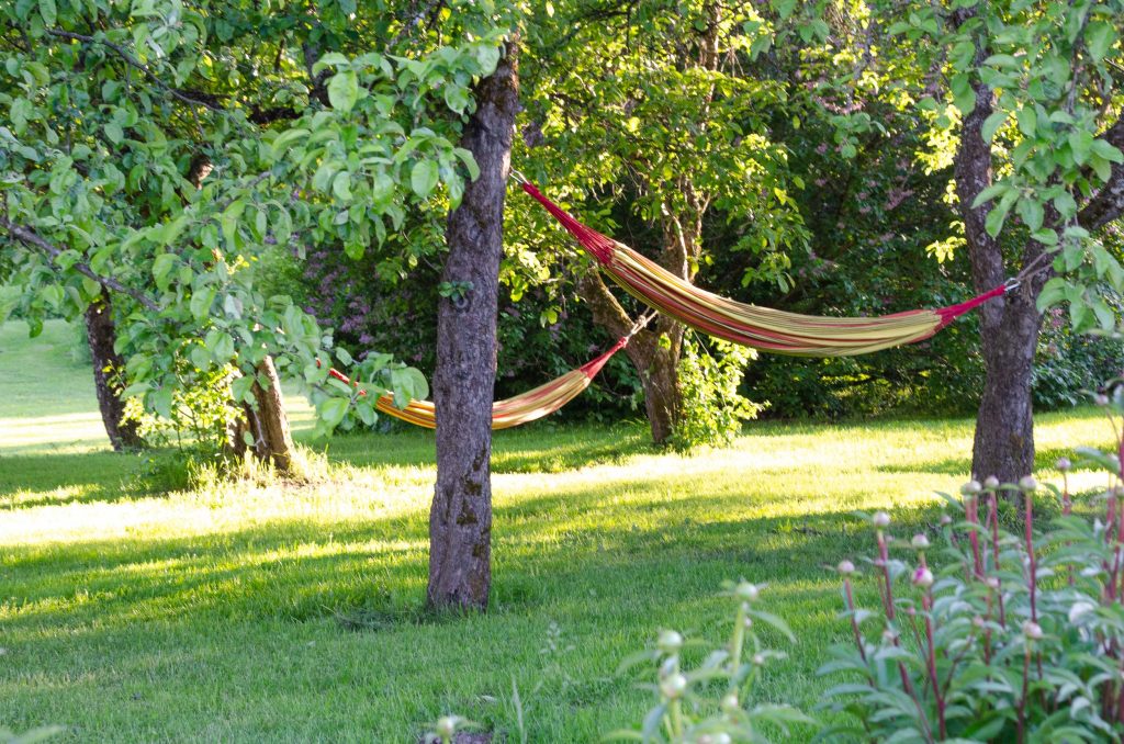 Karlamuiza Gauja National Park