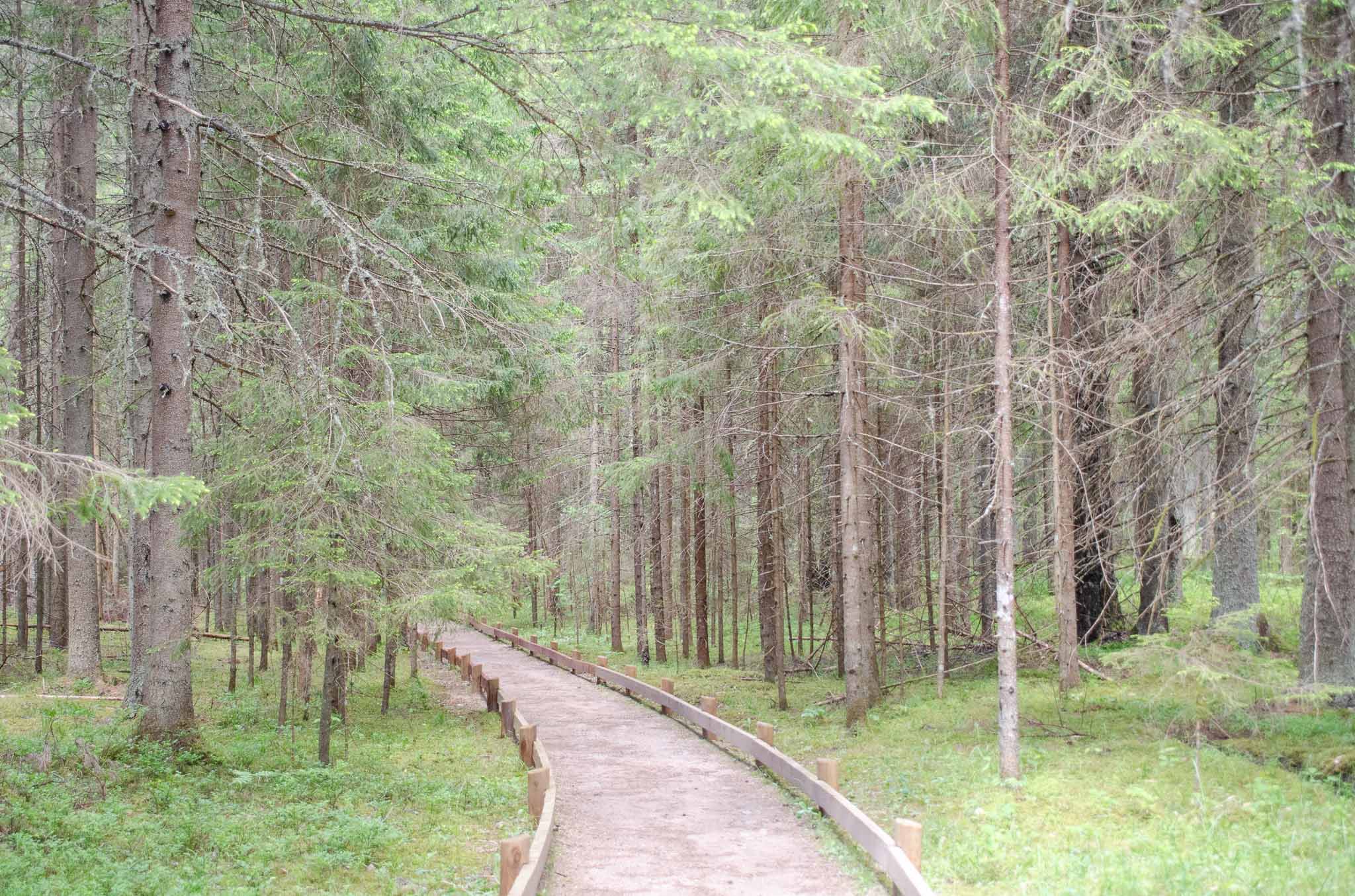 Gauja National Park