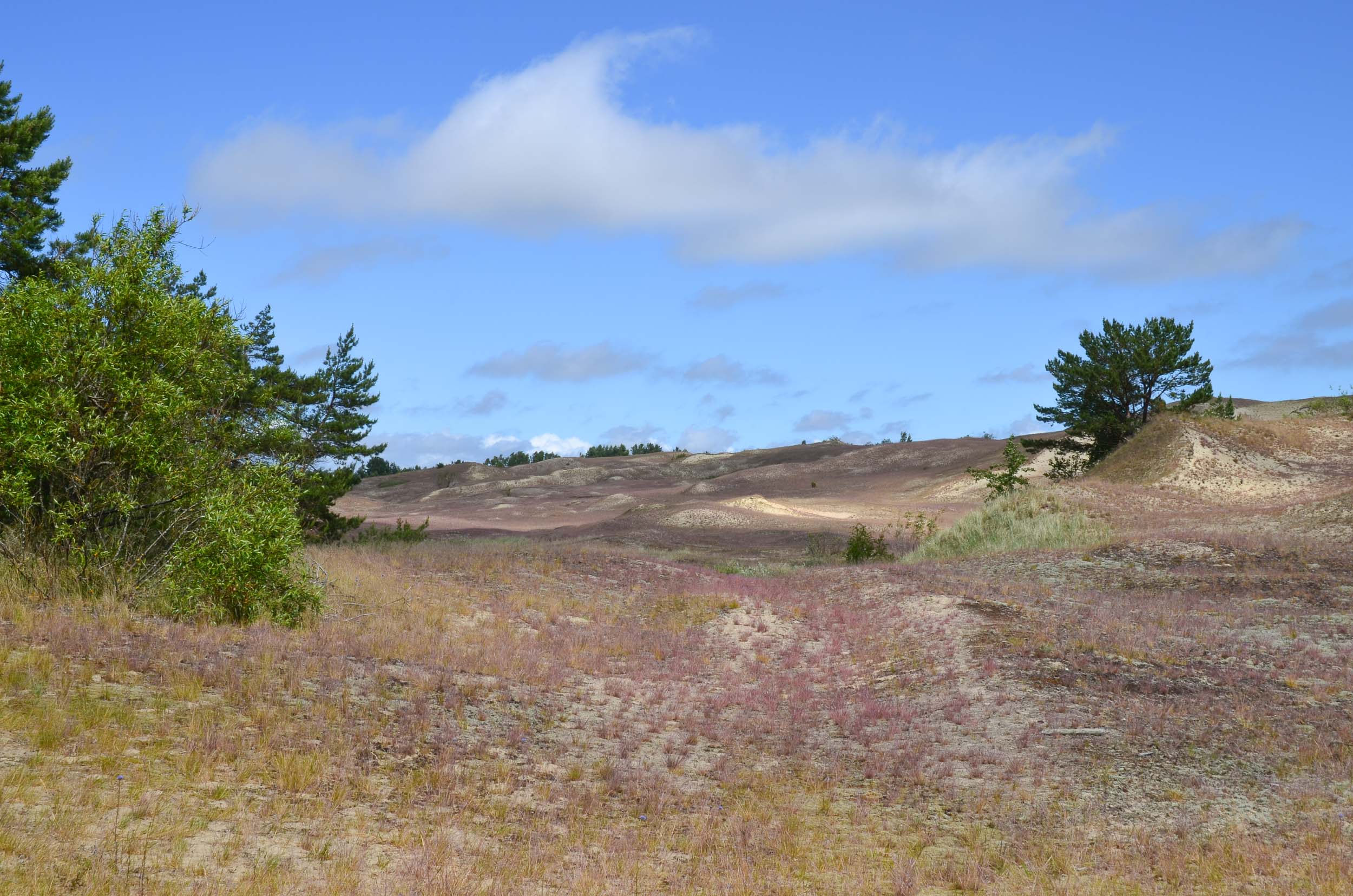 Koerse Schoorwal in Litouwen