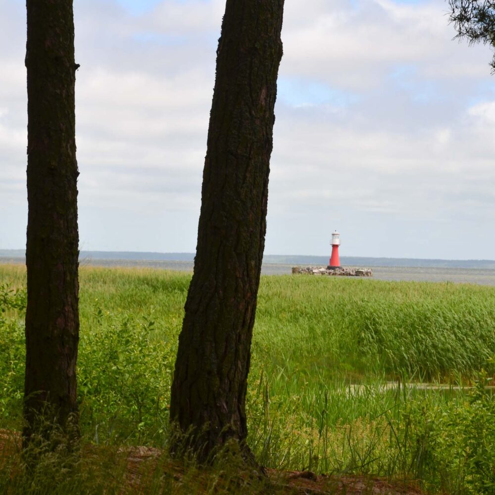 Koerse Schoorwal in Litouwen