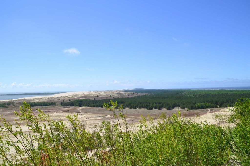 Koerse Schoorwal in Litouwen