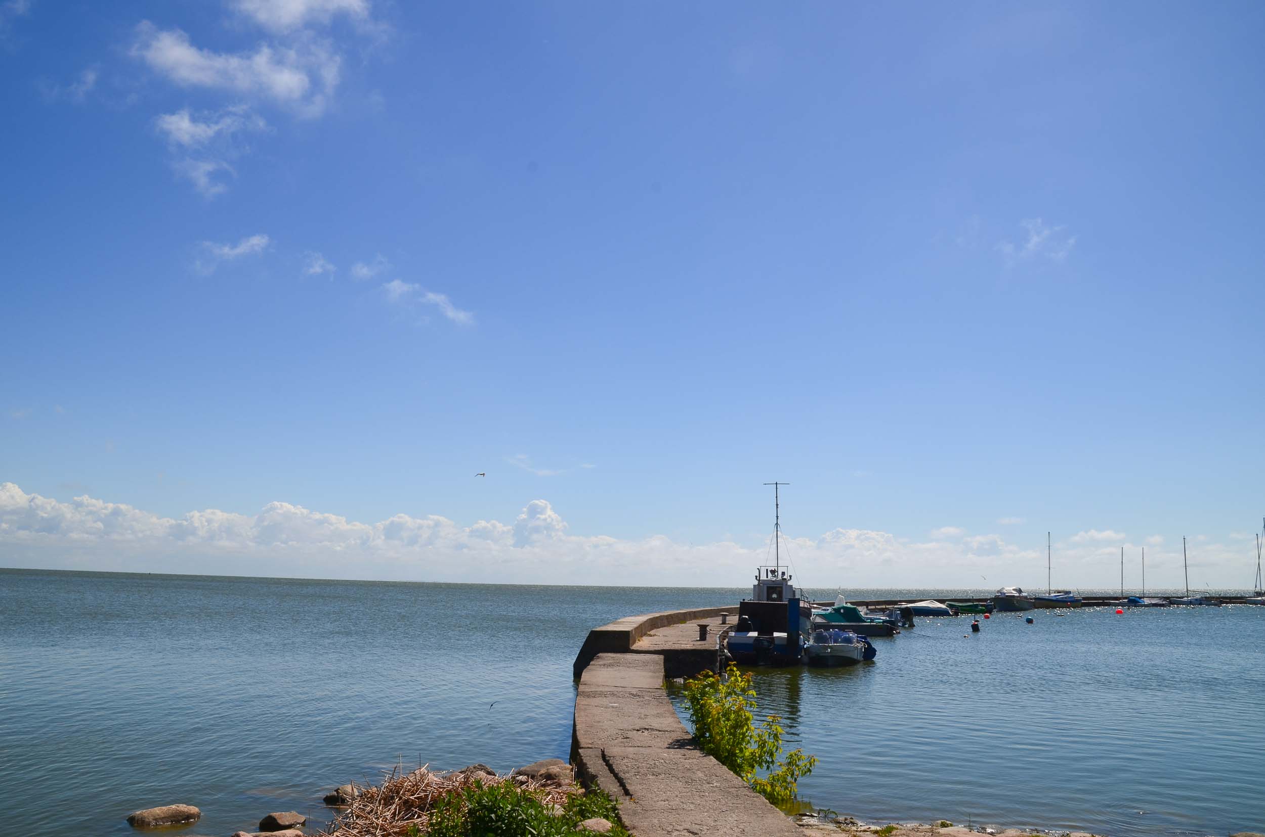 Koerse Schoorwal in Litouwen