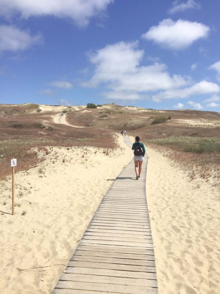 Koerse Schoorwal in Litouwen