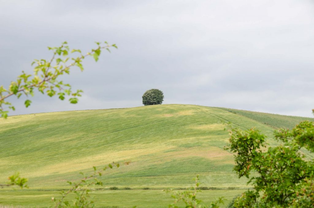 Route Roadtrip Denemarken