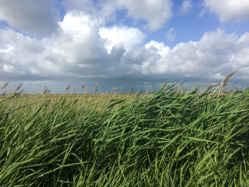 Route Roadtrip Denemarken