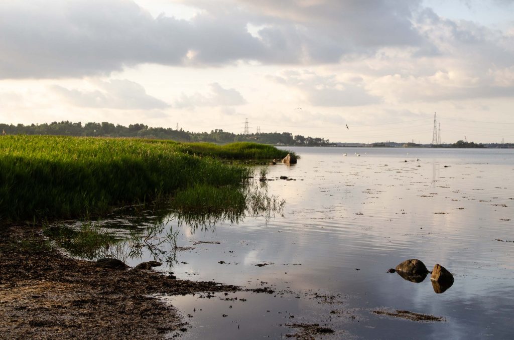 Route Roadtrip Denemarken