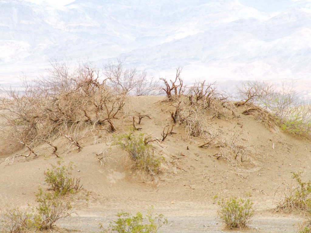 Death Valley