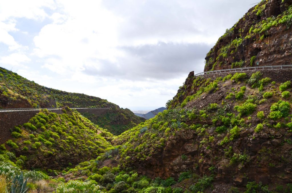 Barranco de las Vacas