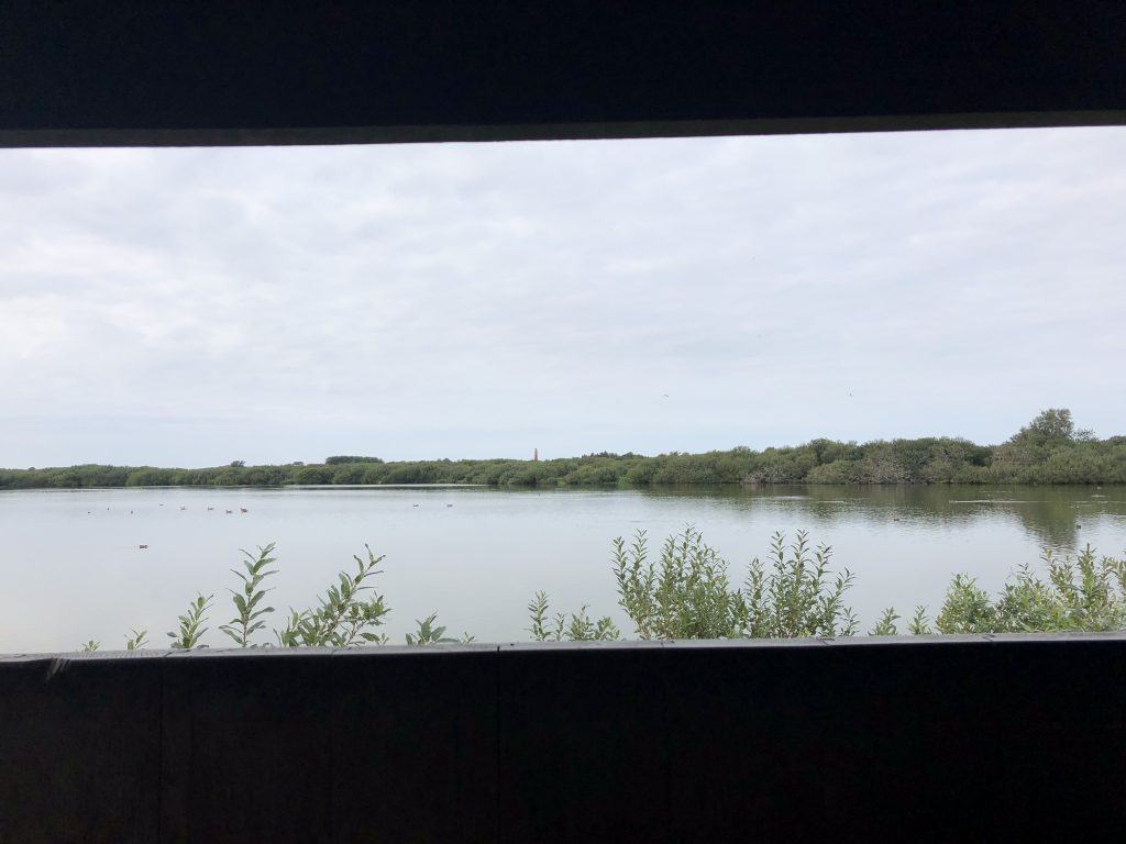 Westerplas Schiermonnikoog