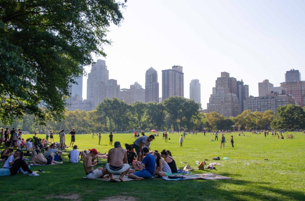 Sheep Meadow Central Park