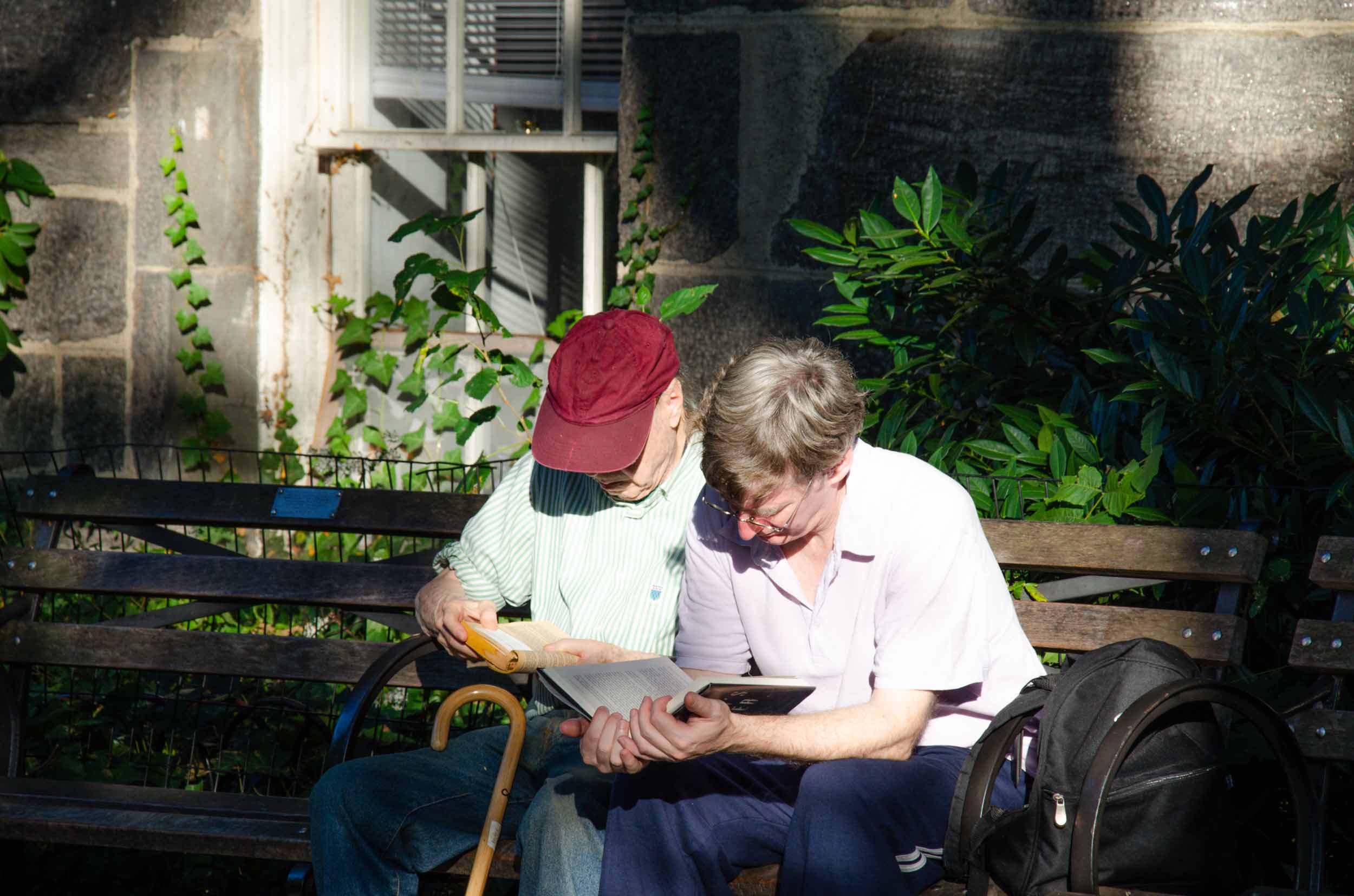 Central Park in New York