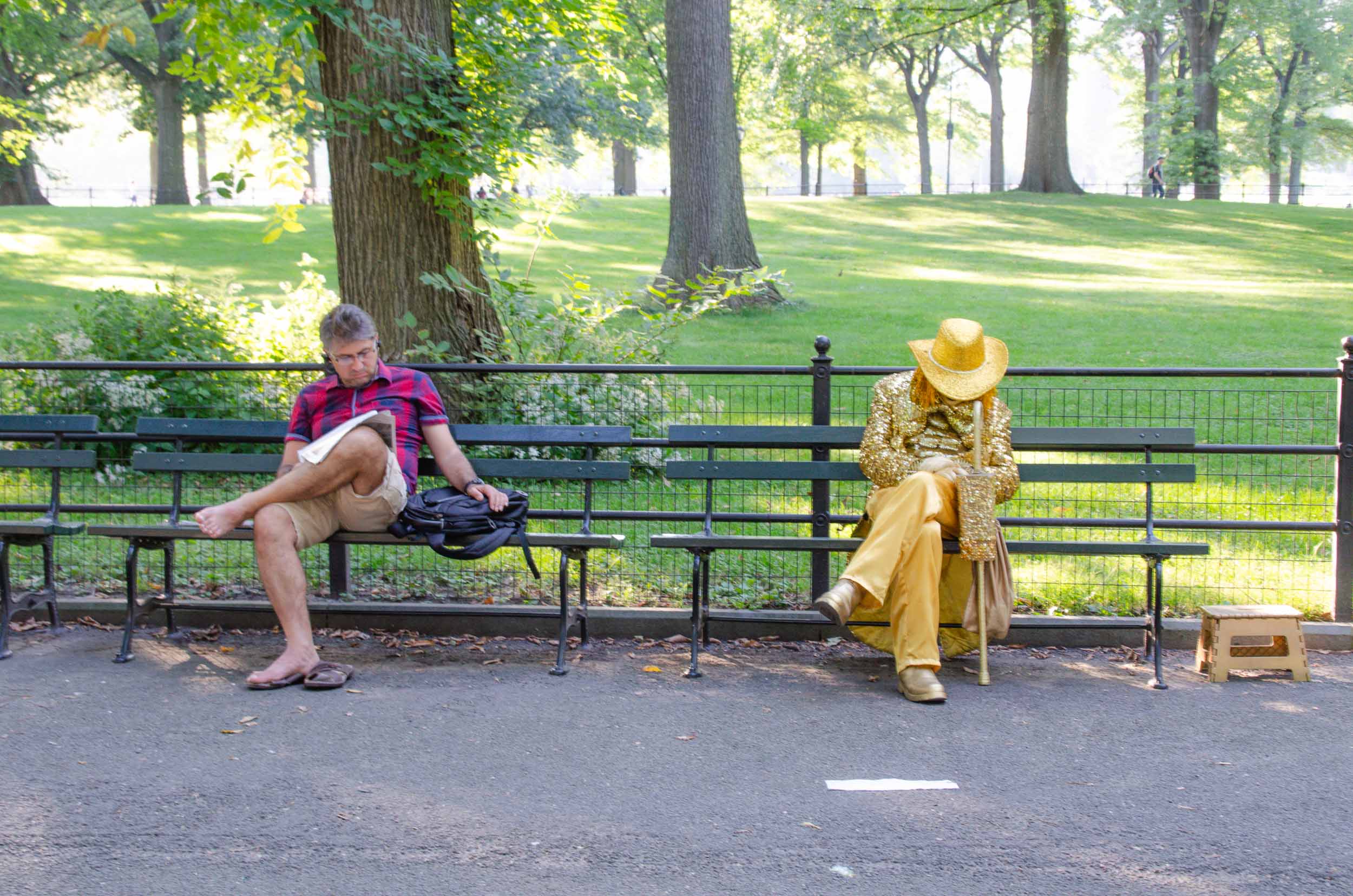 Central Park in New York