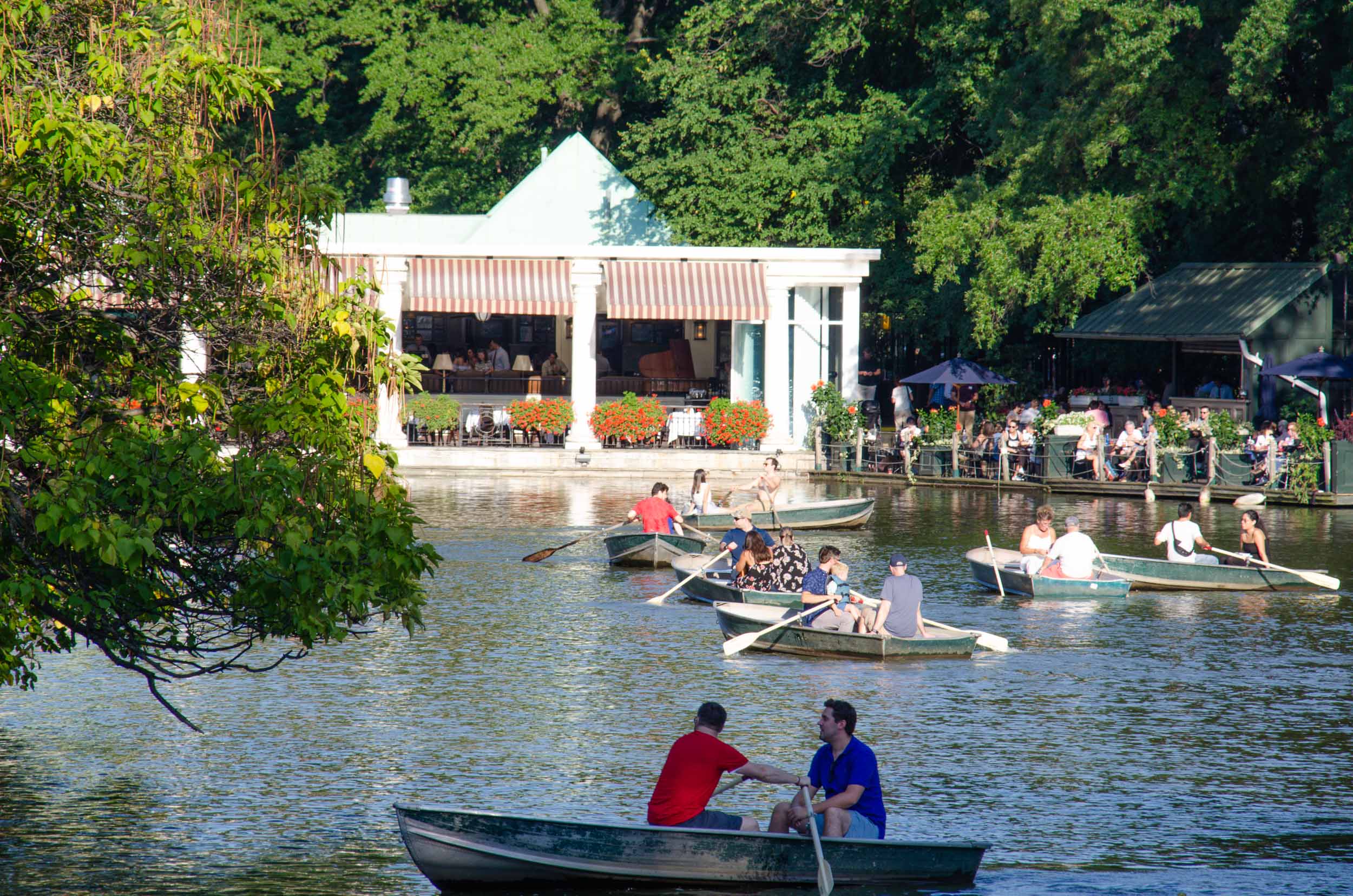 Bow Bridge Central Park