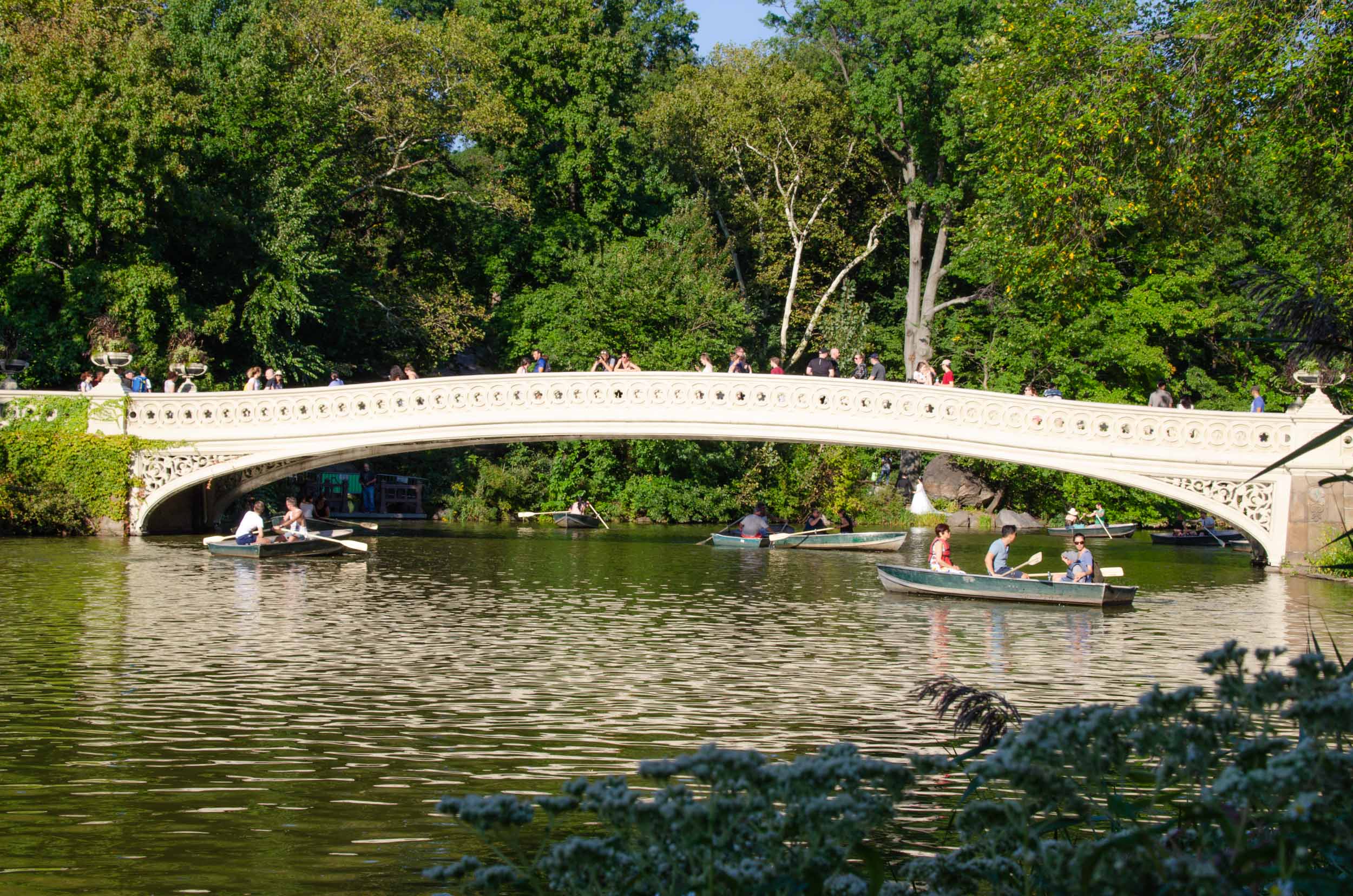 Bow Bridge Central Park