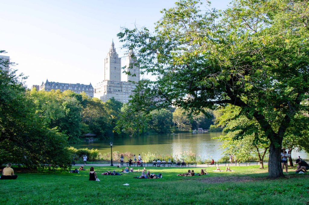 Sheep Meadow Central Park