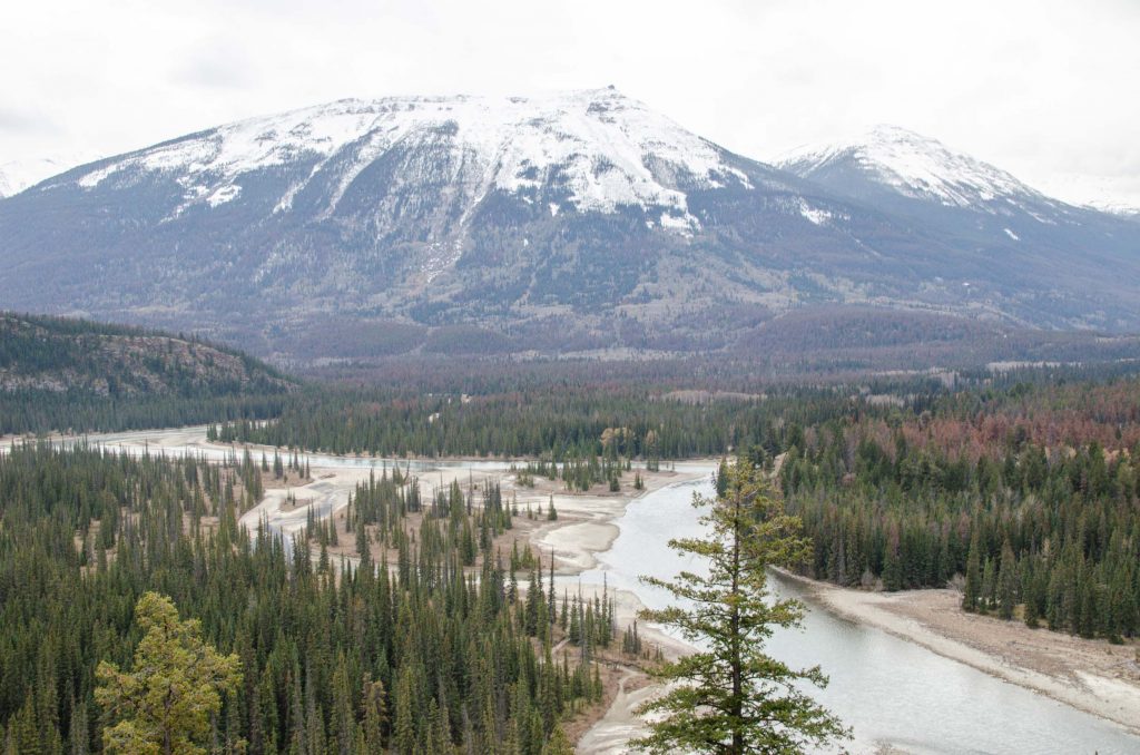 Jasper National Park