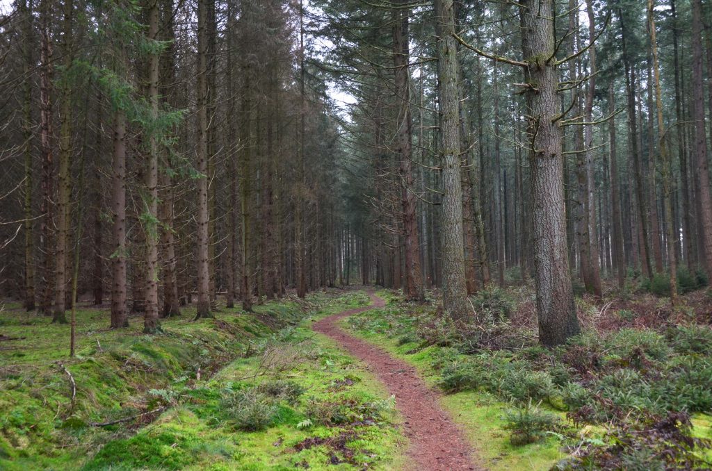 Wandelroutes in Drenthe 