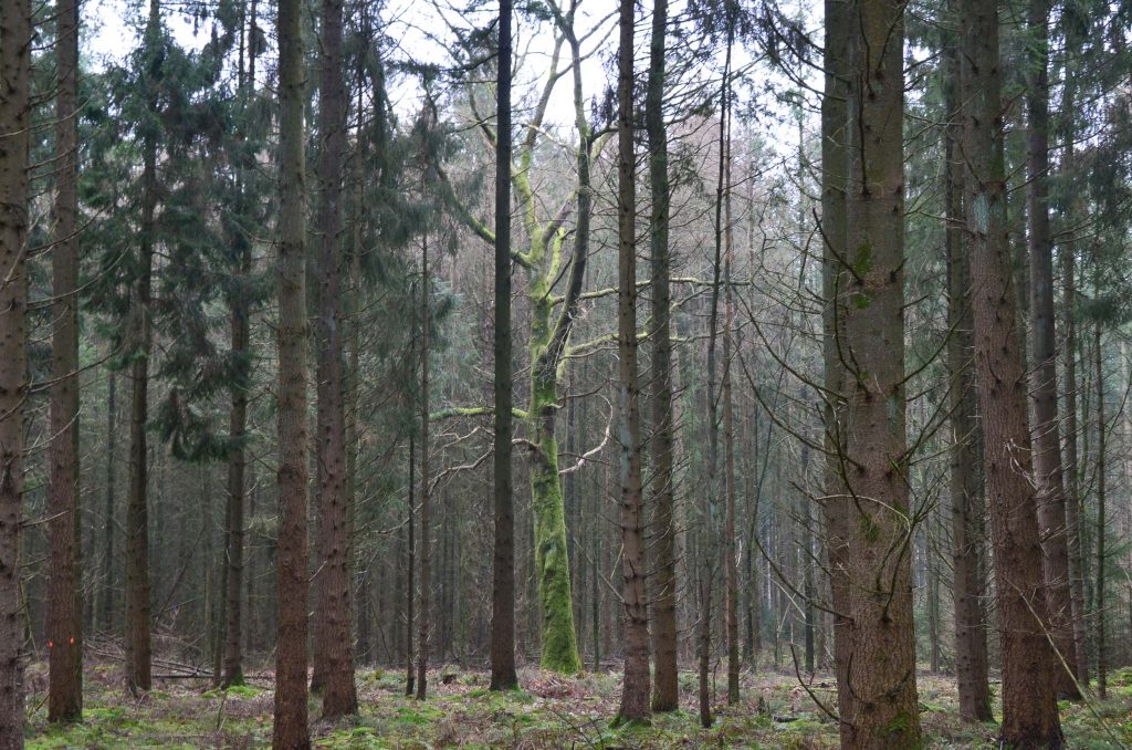 Wandelroutes in Drenthe 