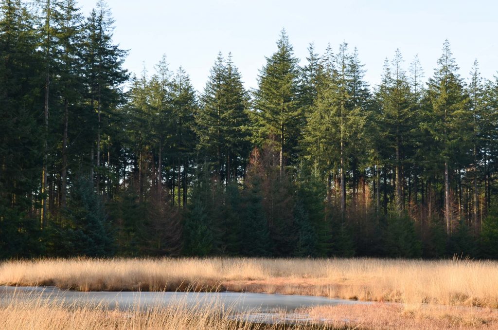Wandelroutes in Drenthe 