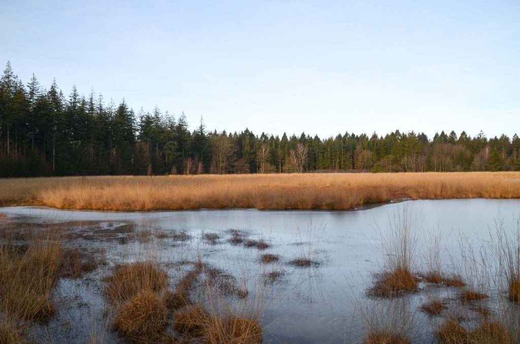 Wandelroutes in Drenthe 