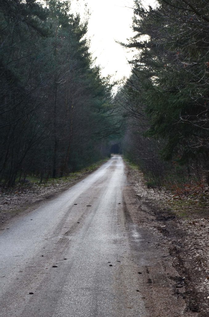 Wandelroutes in Drenthe 
