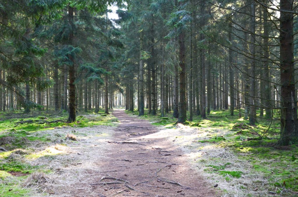 Wandelroutes in Drenthe 