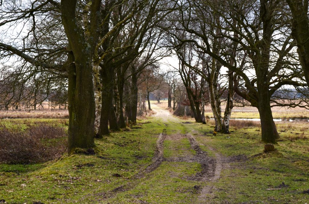 Wandelroutes in Drenthe