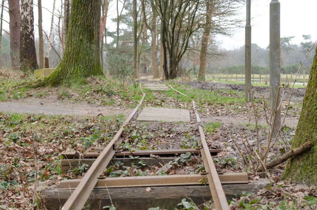 Wandelroutes in Drenthe 