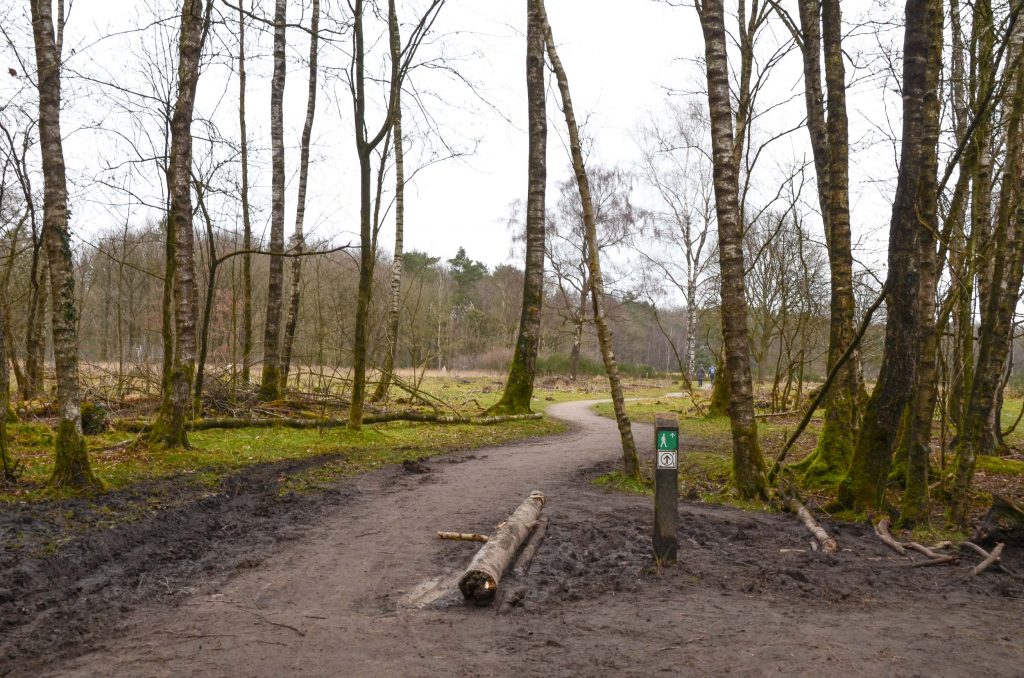 Wandelroutes in Drenthe 