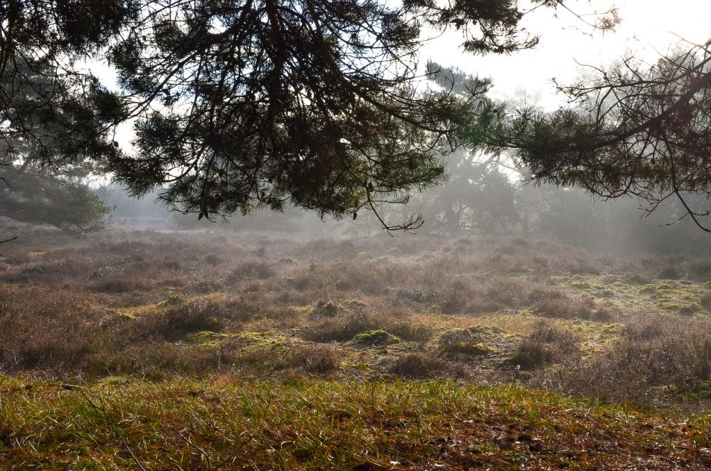 wandelen in Drenthe