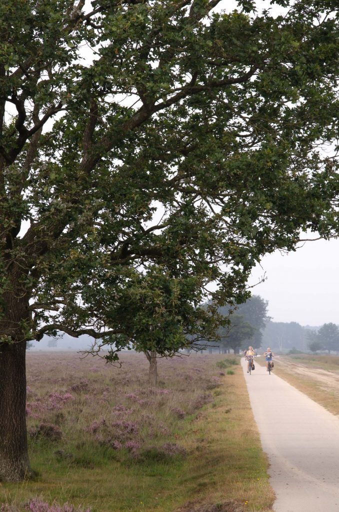 wandelen in Drenthe