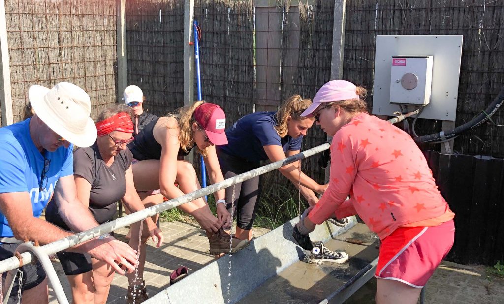 Tips wadlopen schiermonnikoog