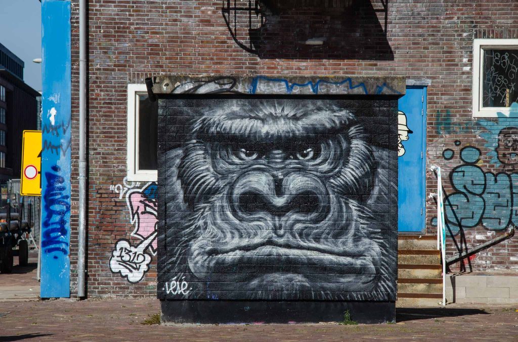 NDSM in Amsterdam Noord