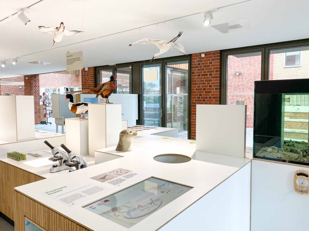 Baken Schiermonnikoog