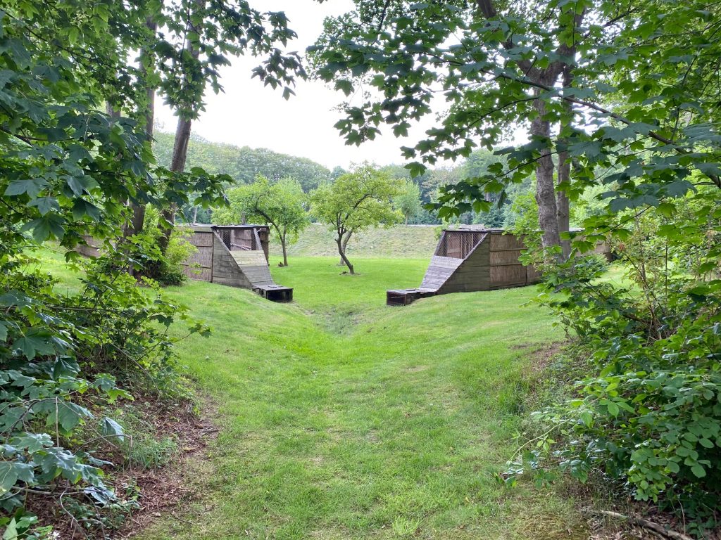 Eendenkooi Schiermonnikoog