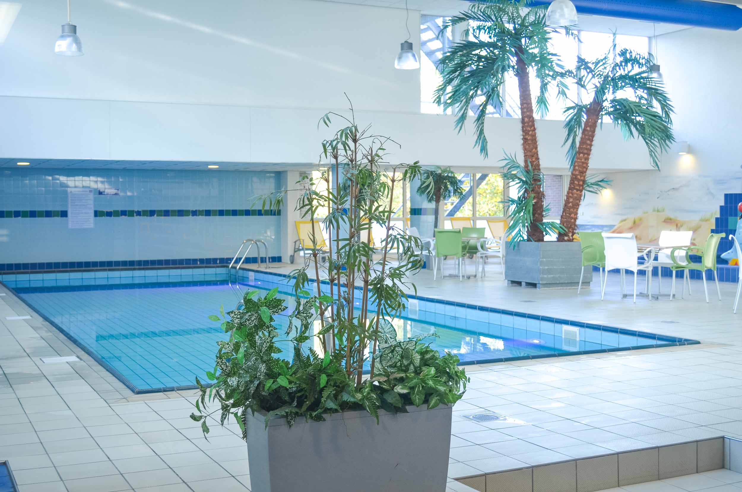 wandelmaand schiermonnikoog