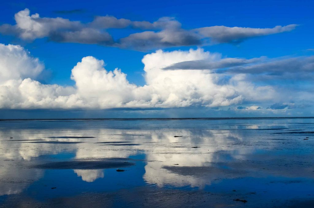 wandelmaand schiermonnikoog