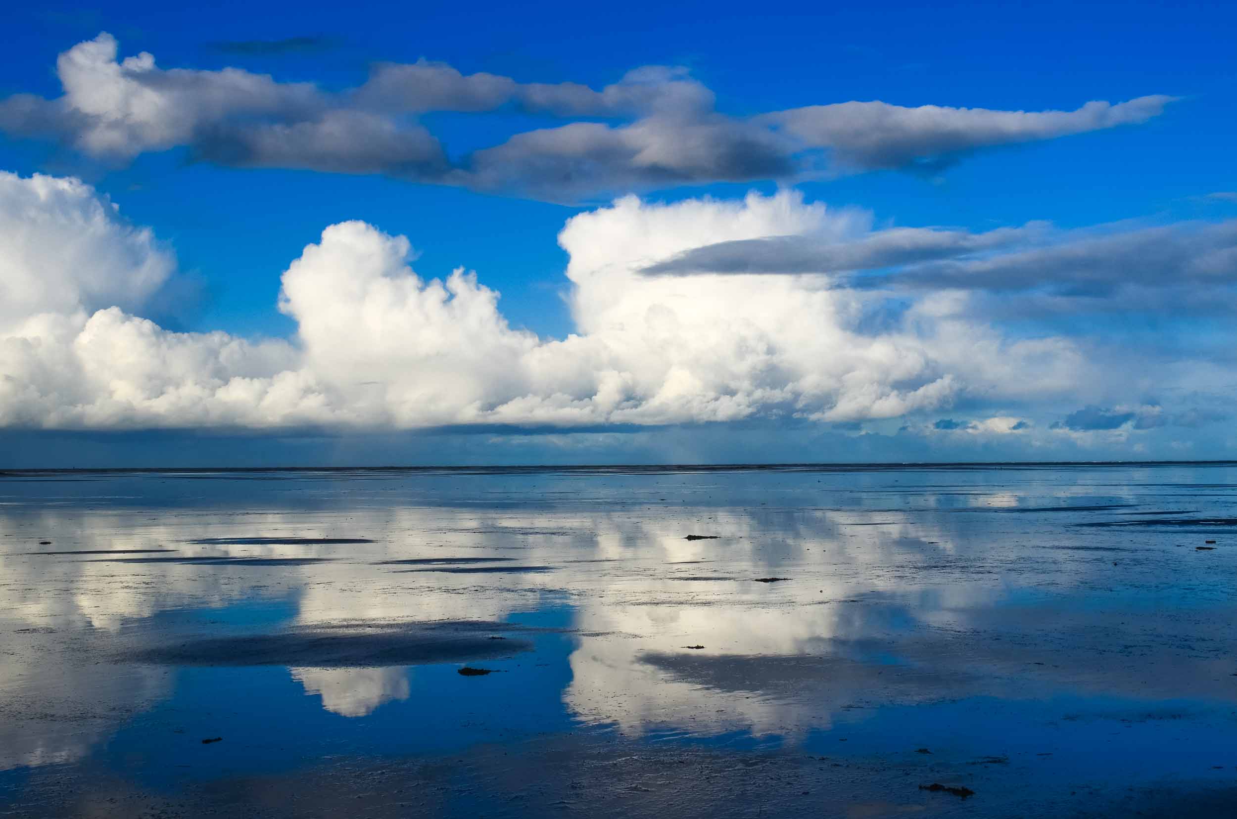 wandelmaand schiermonnikoog