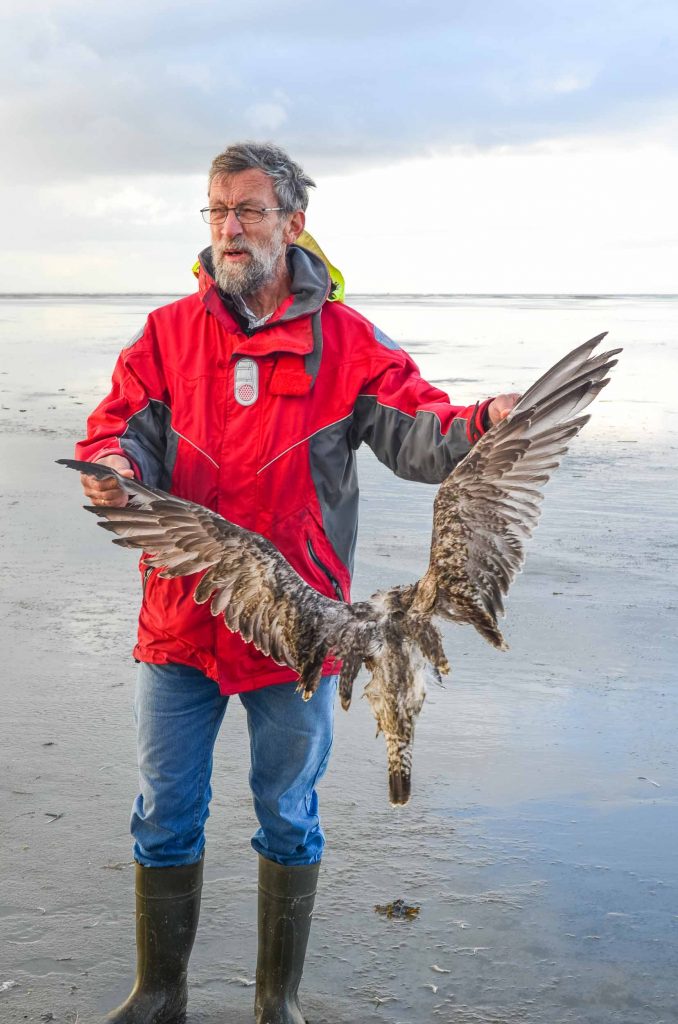 wandelmaand schiermonnikoog