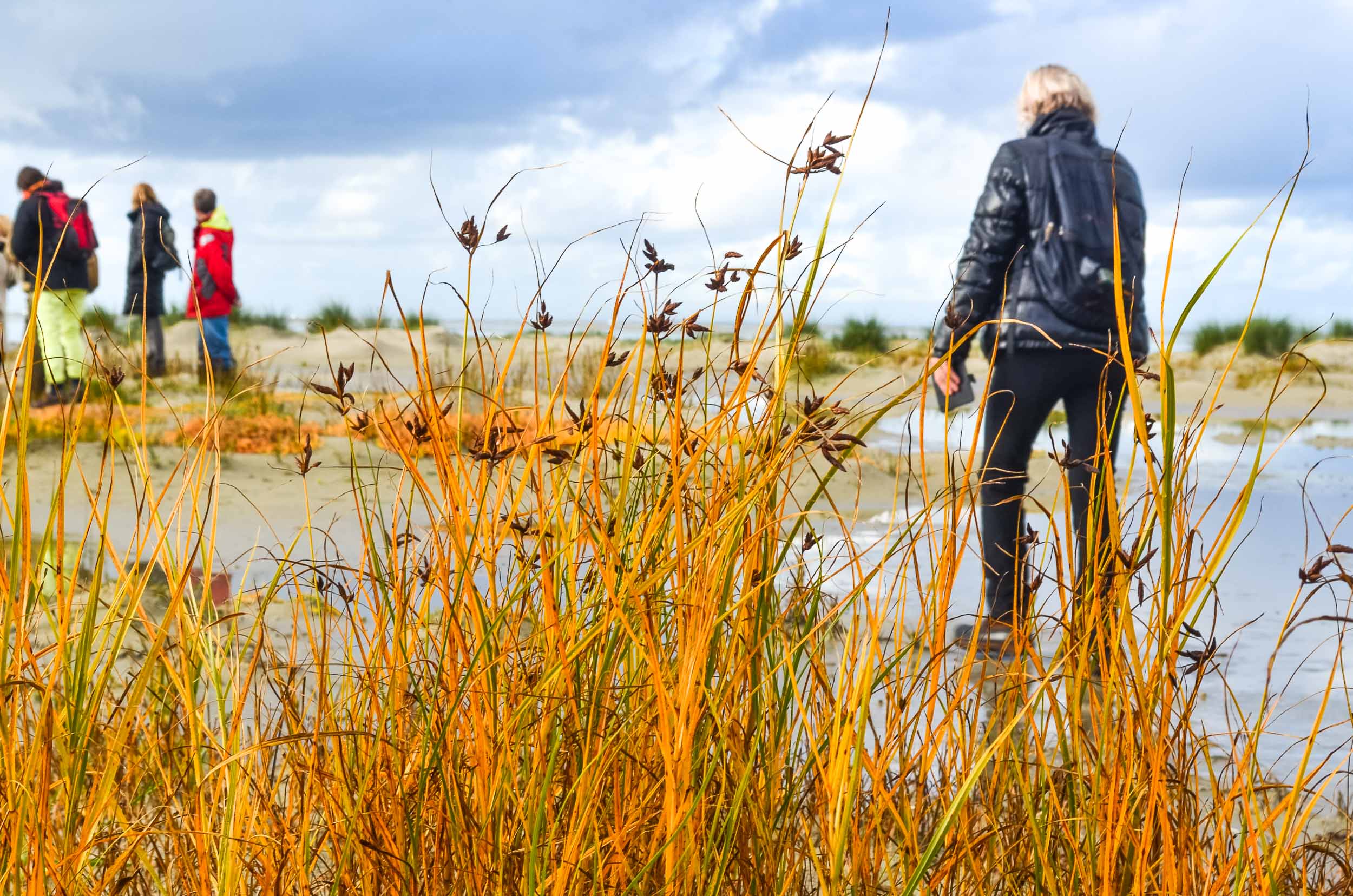 wandelmaand schiermonnikoog