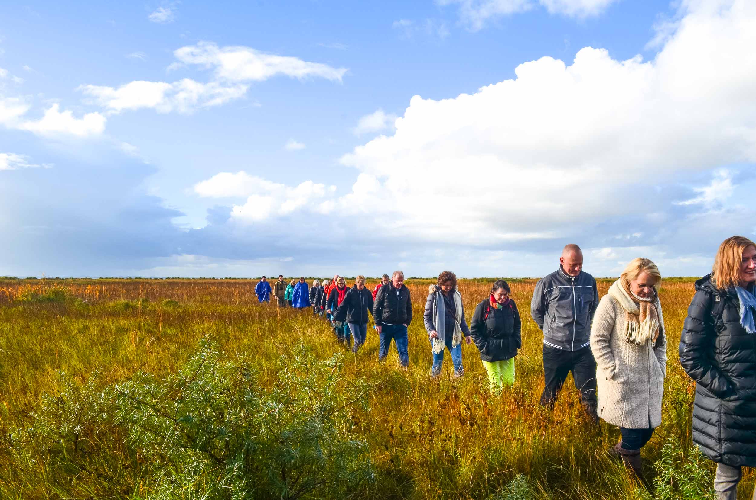 wandelmaand schiermonnikoog