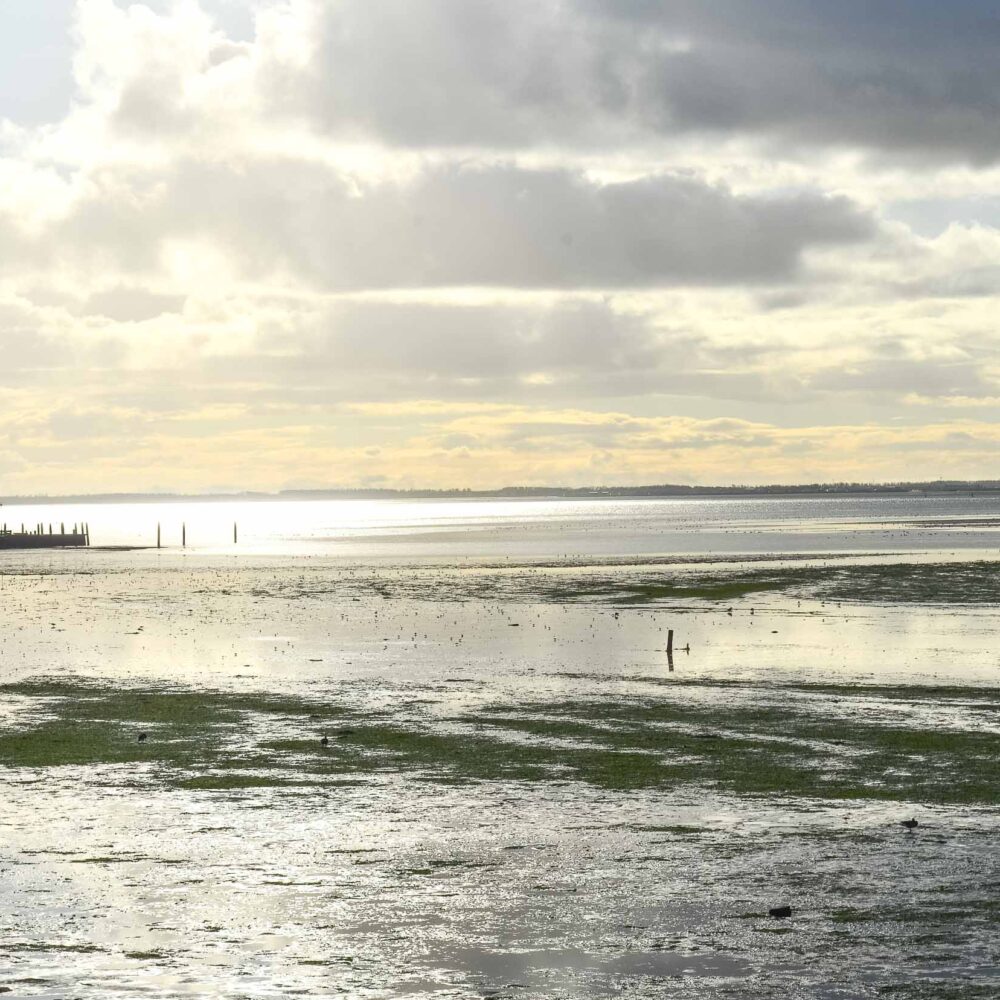 wandelmaand schiermonnikoog