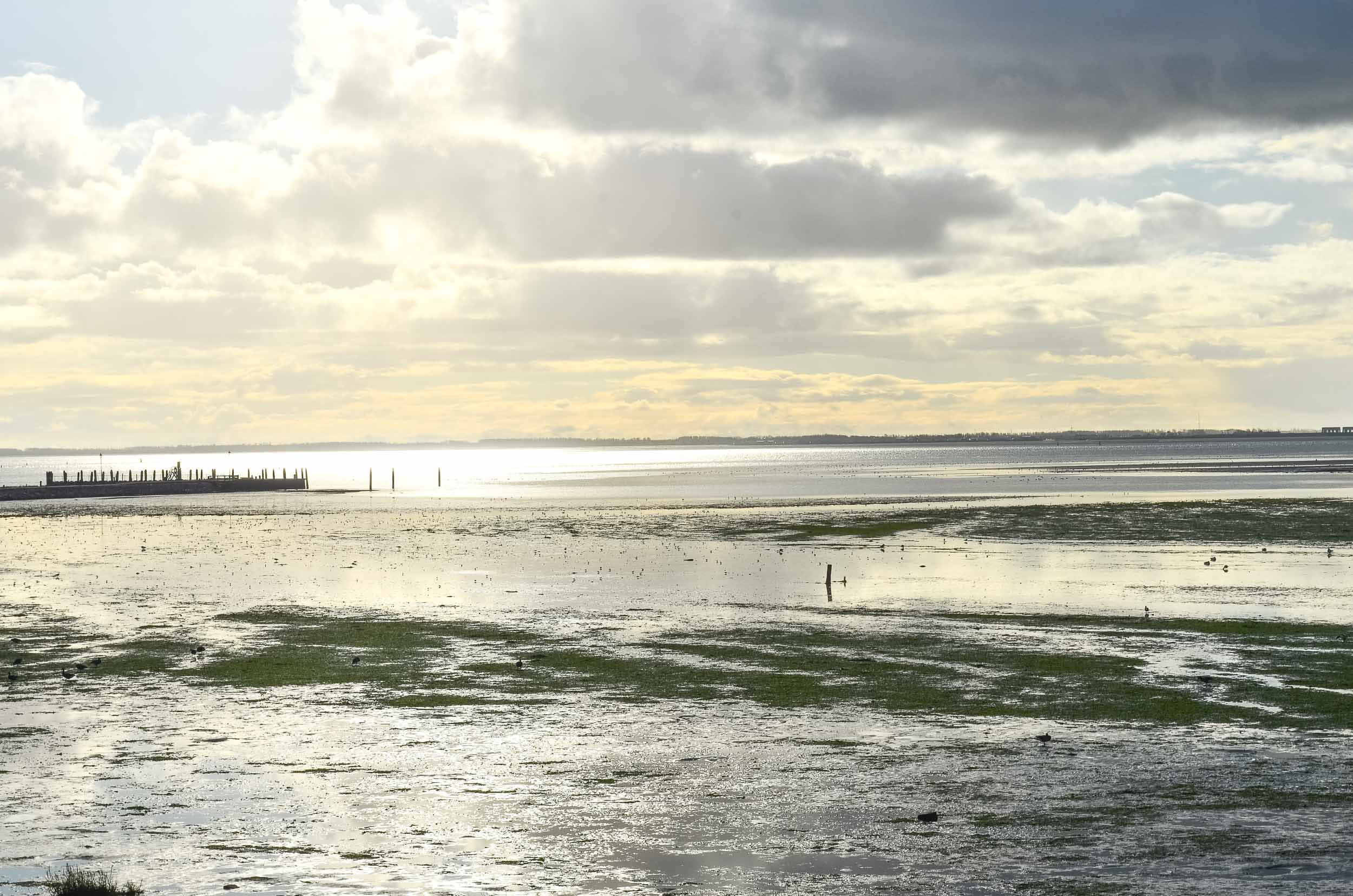 wandelmaand schiermonnikoog