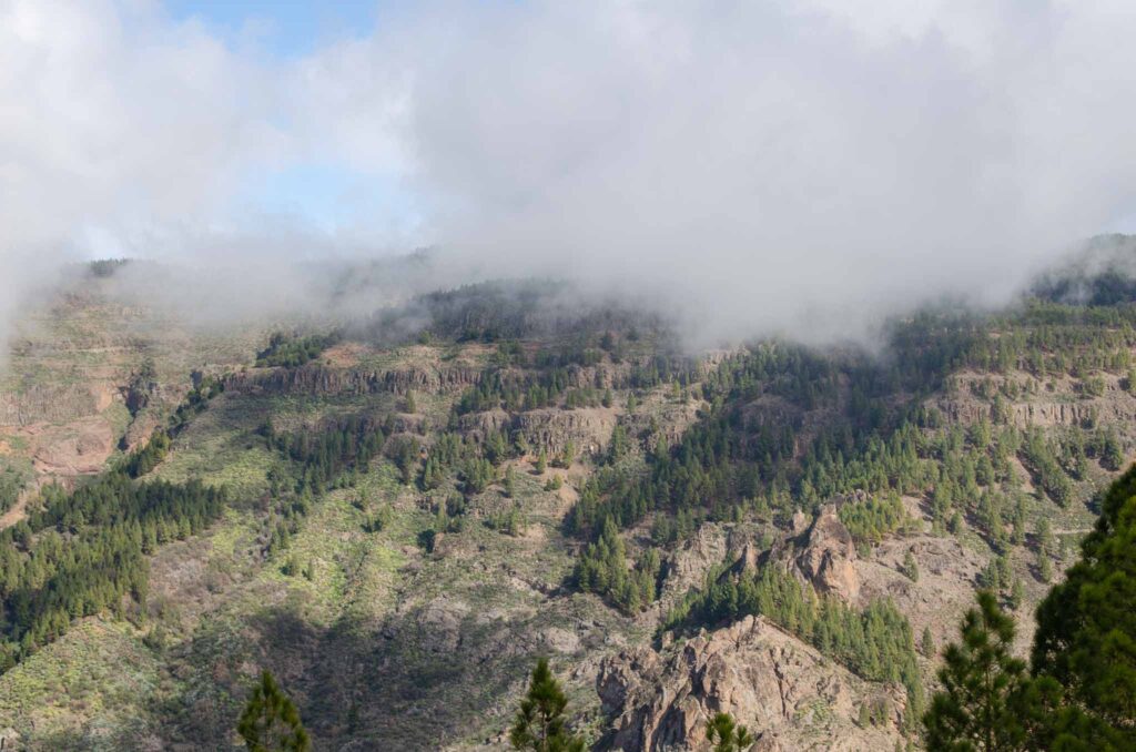 Roadtrip Gran Canaria