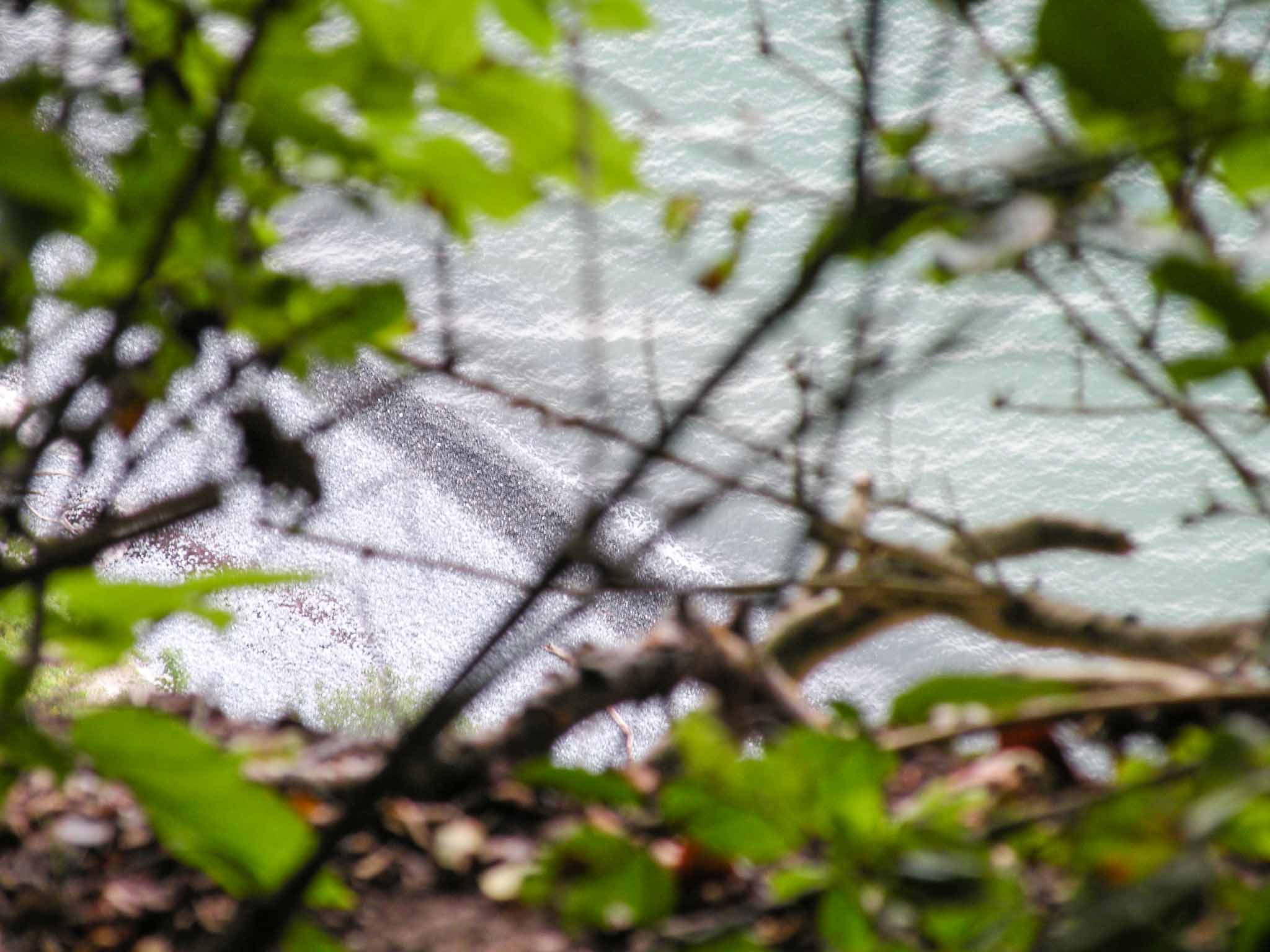Møns Klint