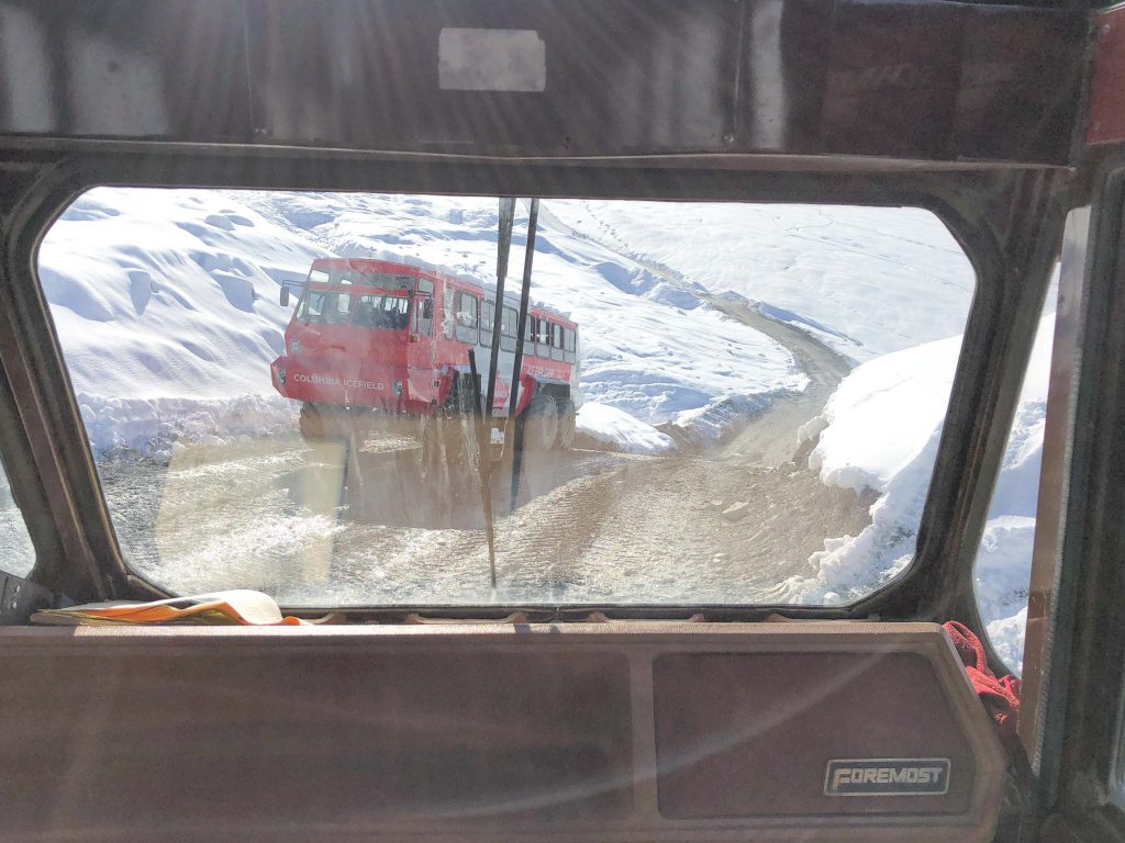 Athabasca Glacier op de Icefields Parkway
