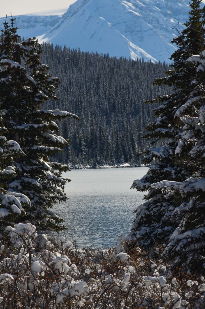 Bow Lake op de Icefields Parkway