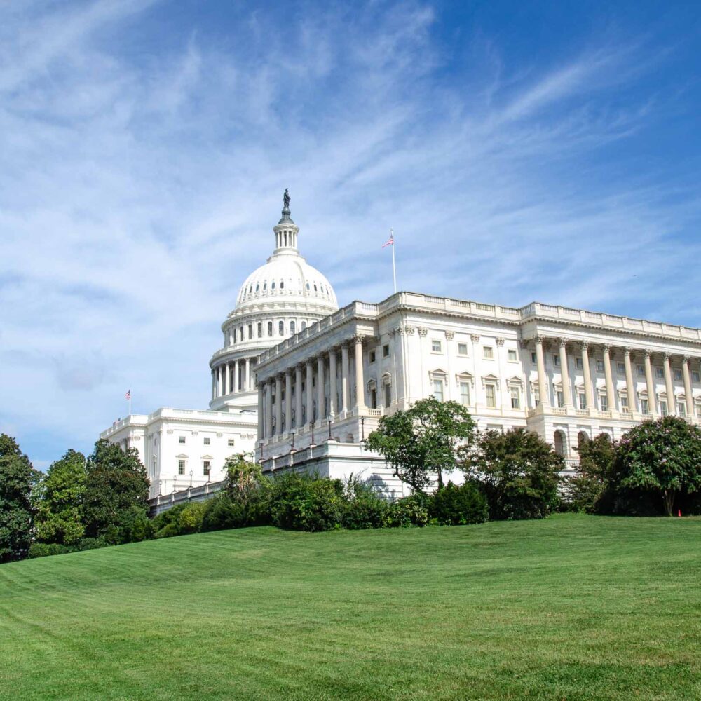 trein new york washington